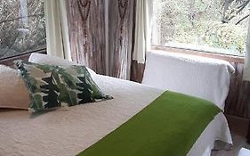 Eco Cabaña